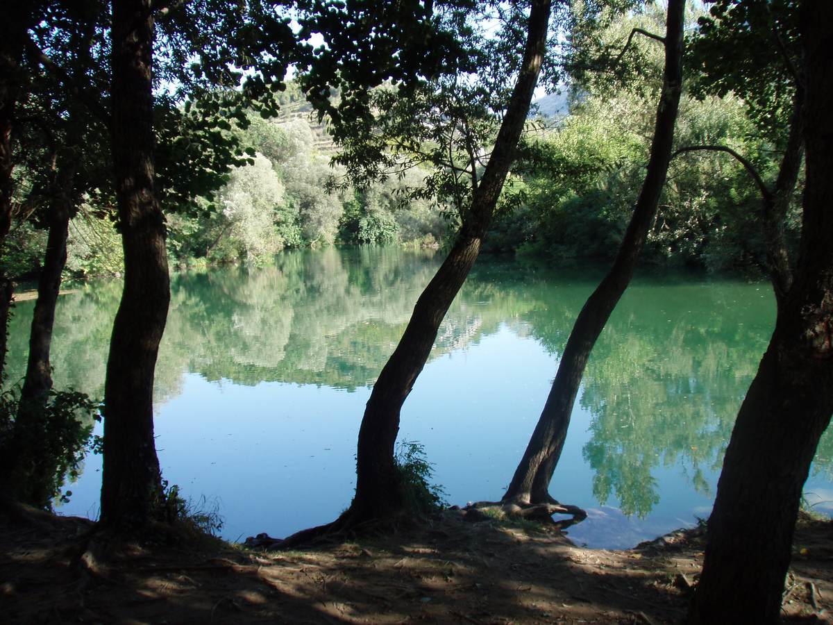 Story Telling Rafting